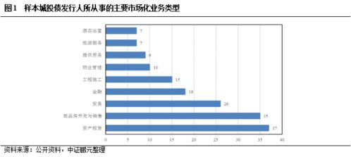 弱资质城投公司深度剖析 哪些业务特征值得被重视